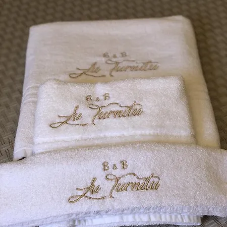 B. & B. Lu Turnitu